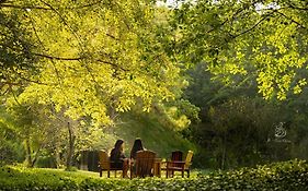 H2 Homestay - Ecopark, Văn Giang, Hưng Yên